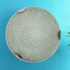 10-inch-surface-ceiling-light