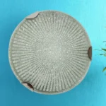 10-inch-surface-ceiling-light